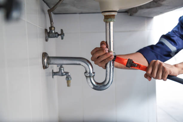Best Septic Systems  in Mosheim, TN