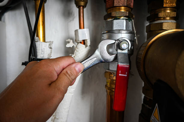 Best Best Plumbers Near Me  in Mosheim, TN